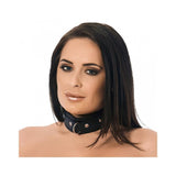 Collar Cuero Con Anilla Grande Talla (Interno):M/L