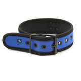 Collar De Neopreno Ajustable Azul