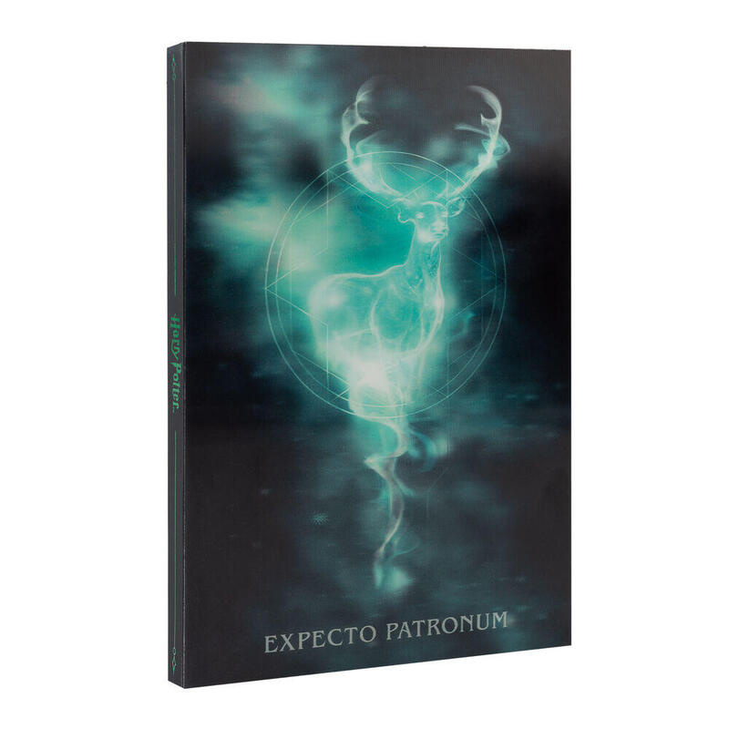 Cuaderno A5 Lenticular Harry Potter