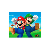 Cuadro 3d Mario Y Luigi (Super Mario)