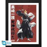 Cuadro Gb Eye Bleach Tybw Ichigo