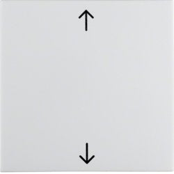 Berker 16208919 Tecla Basculante Con Impresión Symbol Blanco Polar Brillante