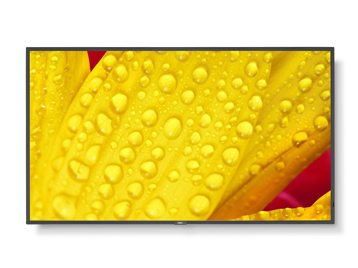 Monitor Nec - 43' Ultra High Definition Commercial Display