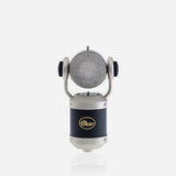 Micrófono Blue Microphones Mouse Negro De Estudio