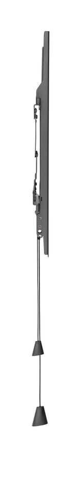 Basic Large Wall Mount