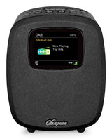 EAN 4711317995953 - Sangean DCR-83 Personal Analógico y digital Negro imagen 1