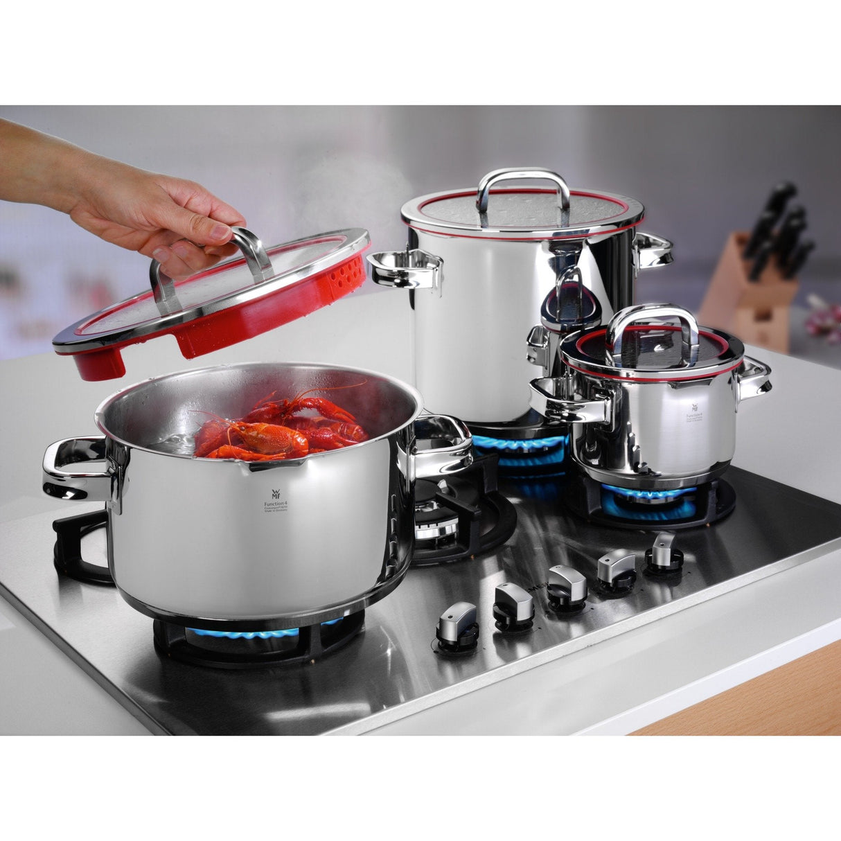 Wmf 0760046380 Kochgeschirr-Set 4-Teilig Function 4