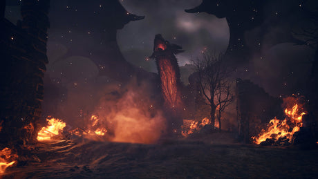 EAN 5055060954096 - Capcom Dragon's Dogma 2 Estándar Inglés PlayStation 5 imagen 13