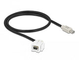 Delock Keystone Modul Mini Displayport Buchse 110° > Mini Displayport Stecker Mit Cable Weiss