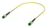 Indoor Os2 Single-Mode Fiber  Patch Cable With Mpo-12 Type
