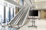 Newstar Soporte De Suelo Móvil Para Tv