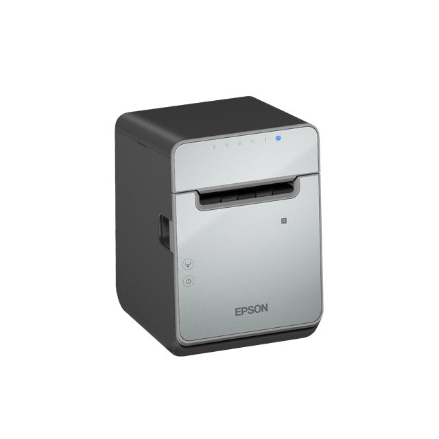 Epson Tm-L100 (103a0): Usb Prnt