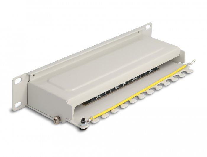 Delock Panel De Conexiones De 10" De 8 Puertos Cat.6a 1u Gris
