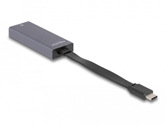 Delock 66248 Adaptador Usb Type-C A Lan Gigabit De 2,5 Pulgadas