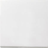 Gira - System 55 - Wippe Für Wippschalter U.Wipptaster *Reinweiss Seidenmatt*
