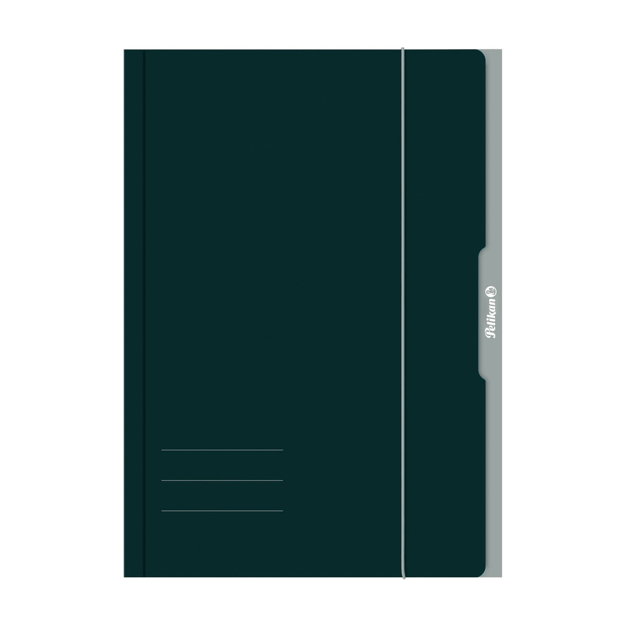 EAN 4012700276841 - Pelikan 276849 carpeta Cartón Verde A4 imagen 1