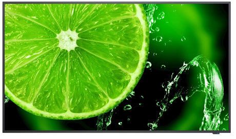 EAN 5028695120471 - NEC MultiSync E498 124,5 cm (49") IPS 350 cd / m² 4K Ultra HD Negro 16/7 imagen 1