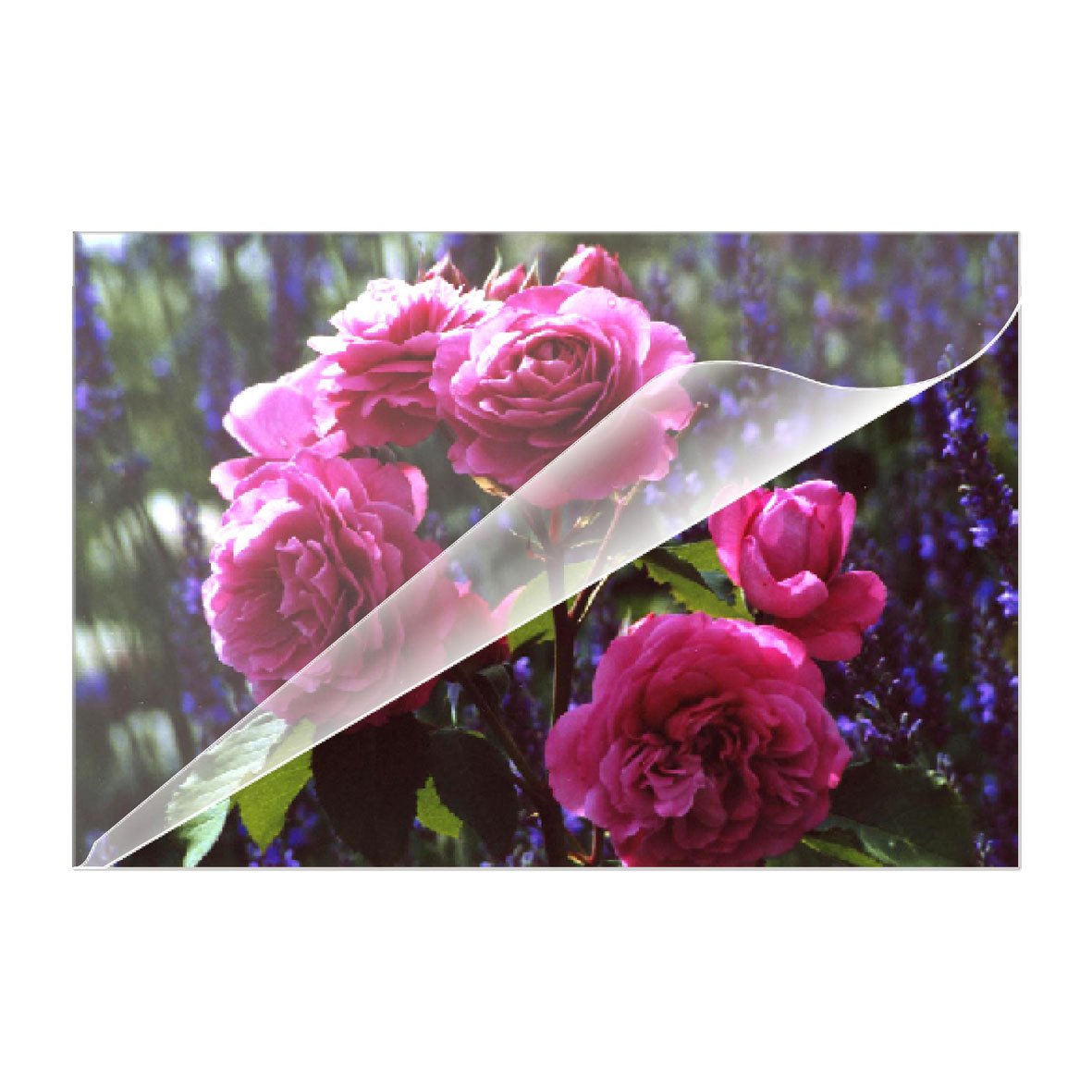 Olympia Plastificadora Pouches Set