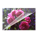 Olympia Plastificadora Pouches Set