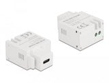 Delock Keymone Modul Con Usb Type-C Ladehchse 2,1 A Blanco