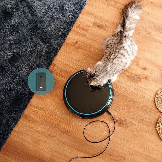 Cecotec Pumba 1600 Purrfect Meal Comedero Y Bebedero Para Perro Y Gato Negro Comedero Automático Para Mascotas