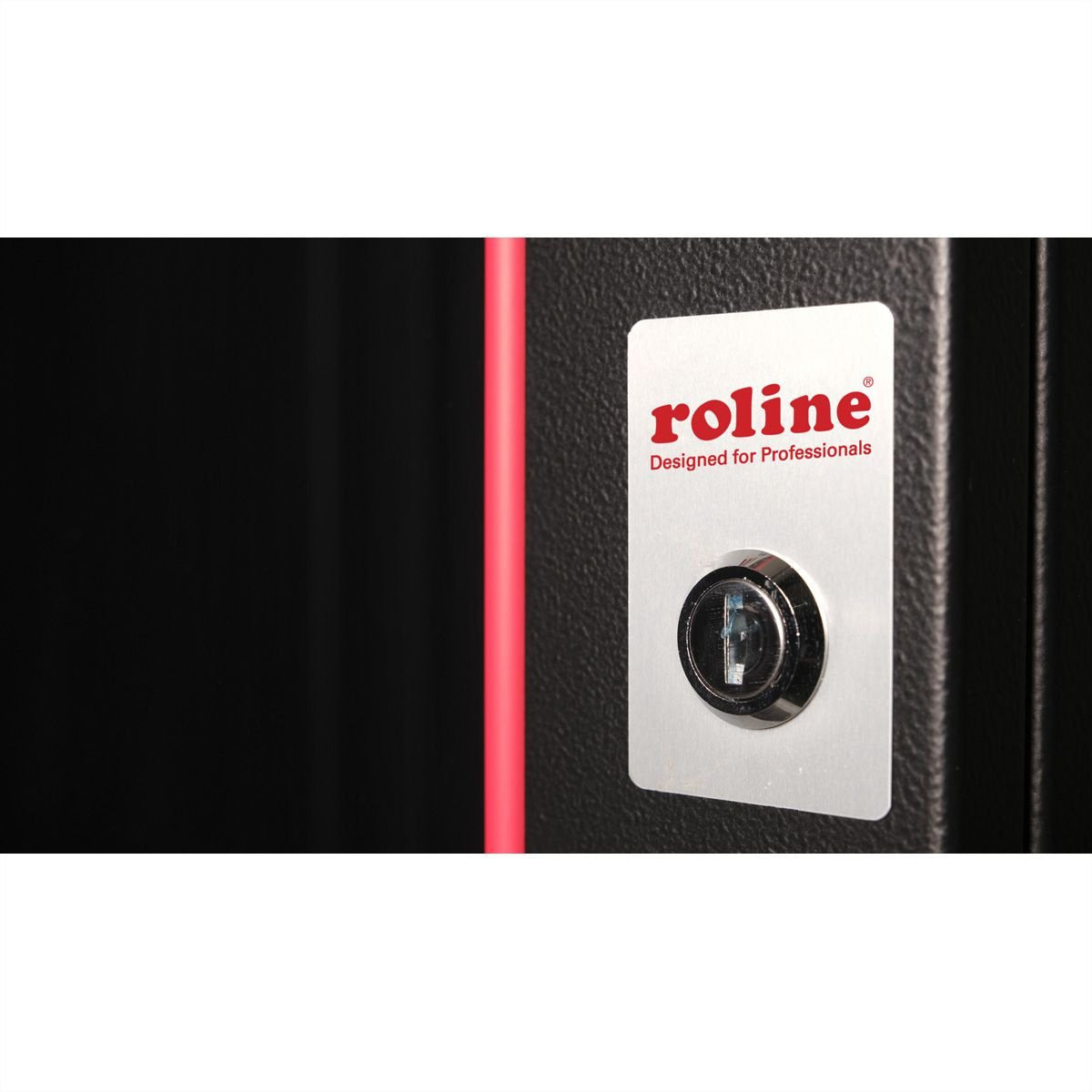 Roline 19-Zoll Wandgehuse Pro 12 He, 600x450 Bxt Schwarz