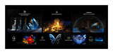 Tcl 98q6c Mini-Led (247.7 Cm (98 Zoll), Negro, Ultrahd/4k, Google Tv, Triple Tuner, 144hz Panel) 98q6c