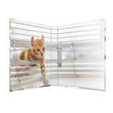 Herma Carpeta De Anillas A4 Katzen 2d