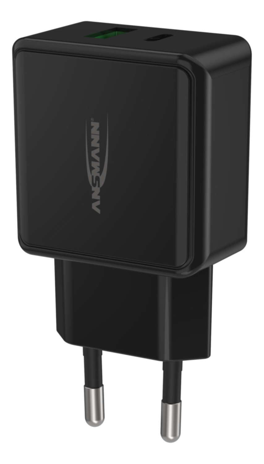 Cargador Pared Ansmann Hc218pd