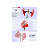 Láminas De Plastificar Olympia Din A5, 100 Piezas 80 Mic