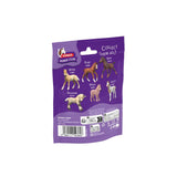 Schleich Horse Club Sammelfohlen Rocky 81481