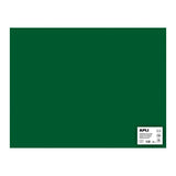 Apli Cartulina 50x65cm 170gr Pack De 25h Verde Oscuro