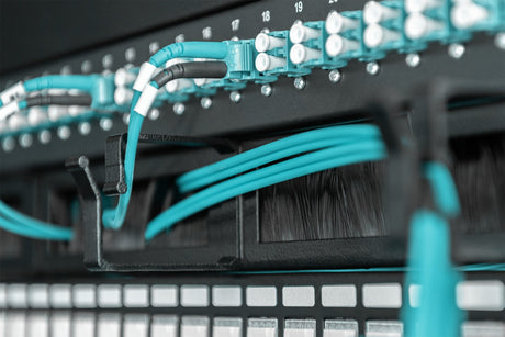 EAN 4016032441632 - Digitus DN-97663 accesorio de bastidor imagen 3