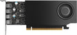 EAN 0198122174171 - HP NVIDIA PH x1xxx 4mDP Graphics imagen 1
