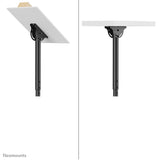 Newstar Soporte De Techo Para Tv