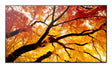 EAN 4550556176682 - Sharp MultiSync M322 Pantalla plana para señalización digital 81,3 cm (32") LCD 550 cd / m² Full HD Negro imagen 1