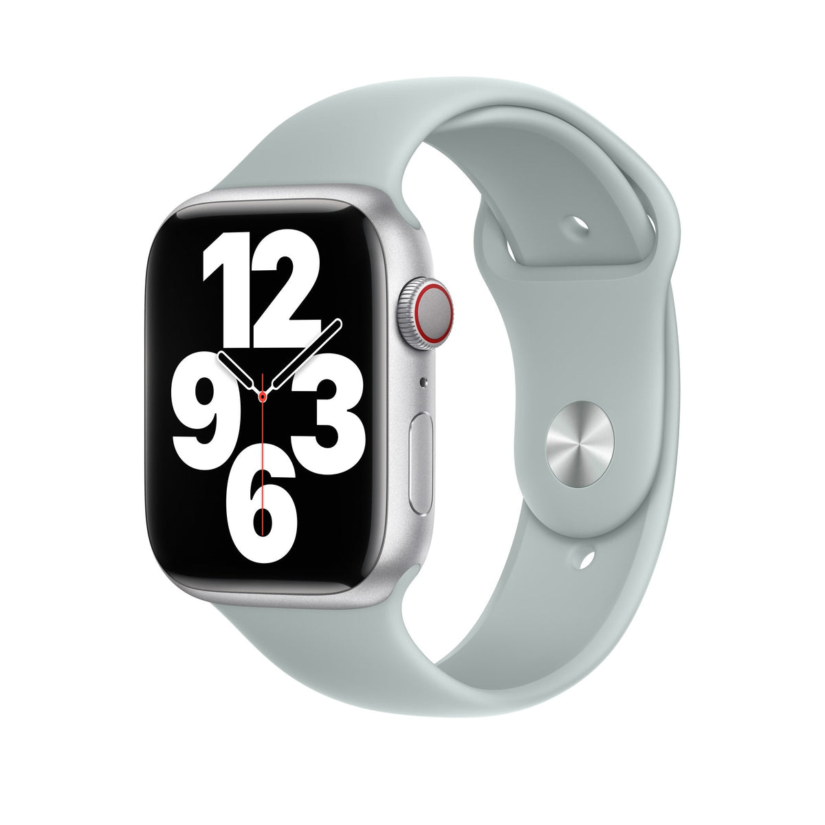 Watch Sport Band 45mm - Succulent