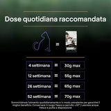Purina Pro Plan Liveclear Kitten Bogata W Indyka 1,4kg
