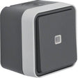 EAN 4011334395263 - Berker 50763505 accesorio de interruptor eléctrico imagen 1
