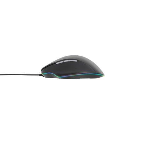 EAN 8716309121804 - Gembird MUS-6B-02 ratón Oficina mano derecha USB tipo A Óptico 3600 DPI imagen 2