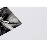 Hama Fine Art Álbum De Foto Y Protector Gris 100 Hojas 10 X 15 Cm