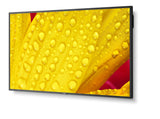 M501-2, 50" M-Series, Lfd,  Uhd 3840x2160, 500cd/M2,