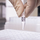 Polypropylene Tape For M211  M210 Bmp21-Plus Bmp21-Lab