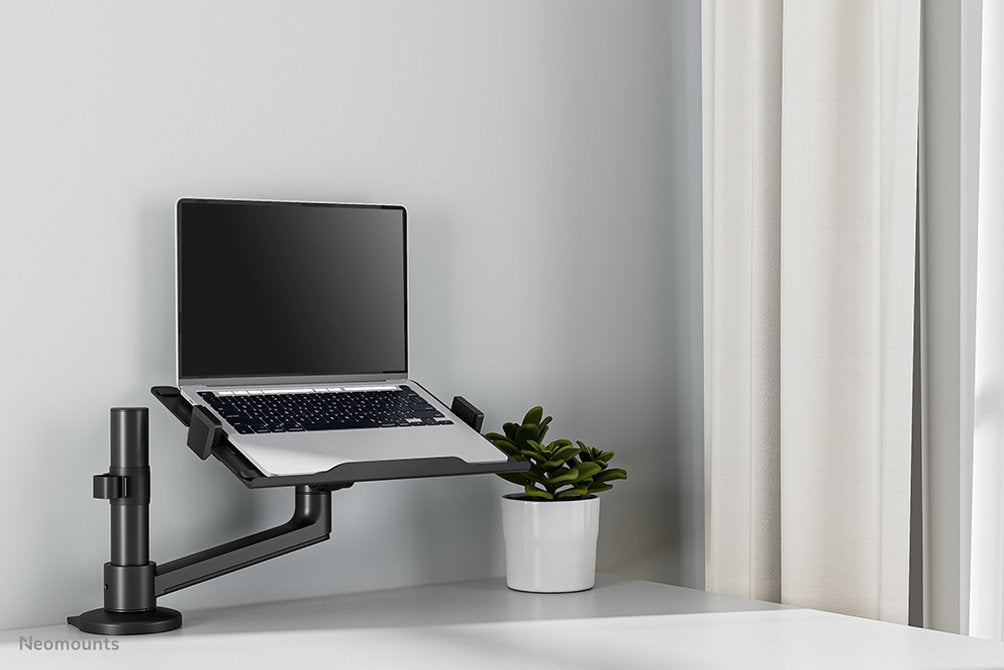 Neomounts By Newstar Soporte De Escritorio Para Portátil 11,6"-17,3"