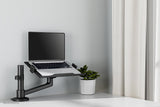 Neomounts By Newstar Soporte De Escritorio Para Portátil 11,6"-17,3"