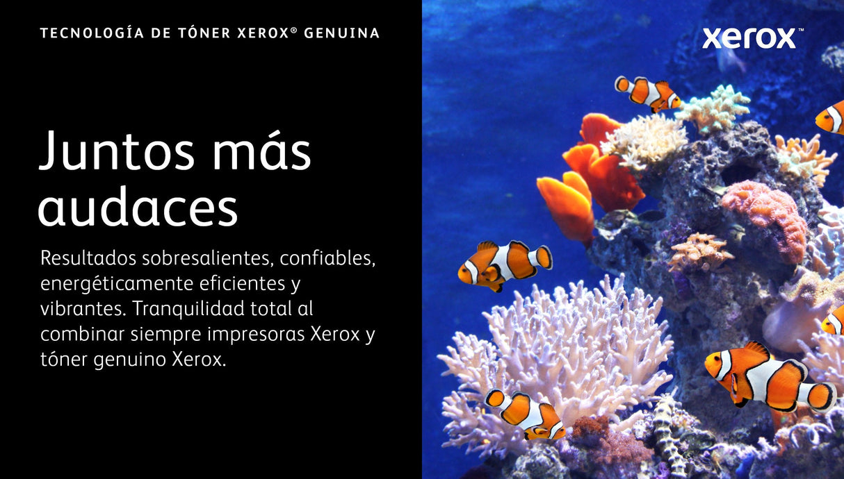 Toner B620b625standardcapacity