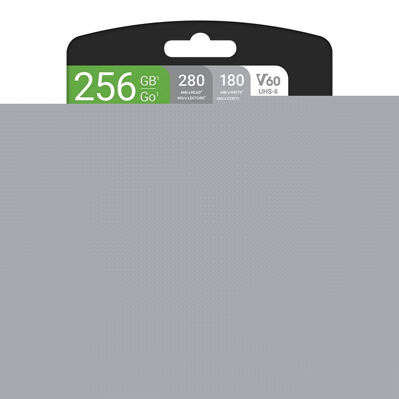 Card Xc Card 256gb Pny X-Pro 60 Class 10 Uhs-Ii Retail