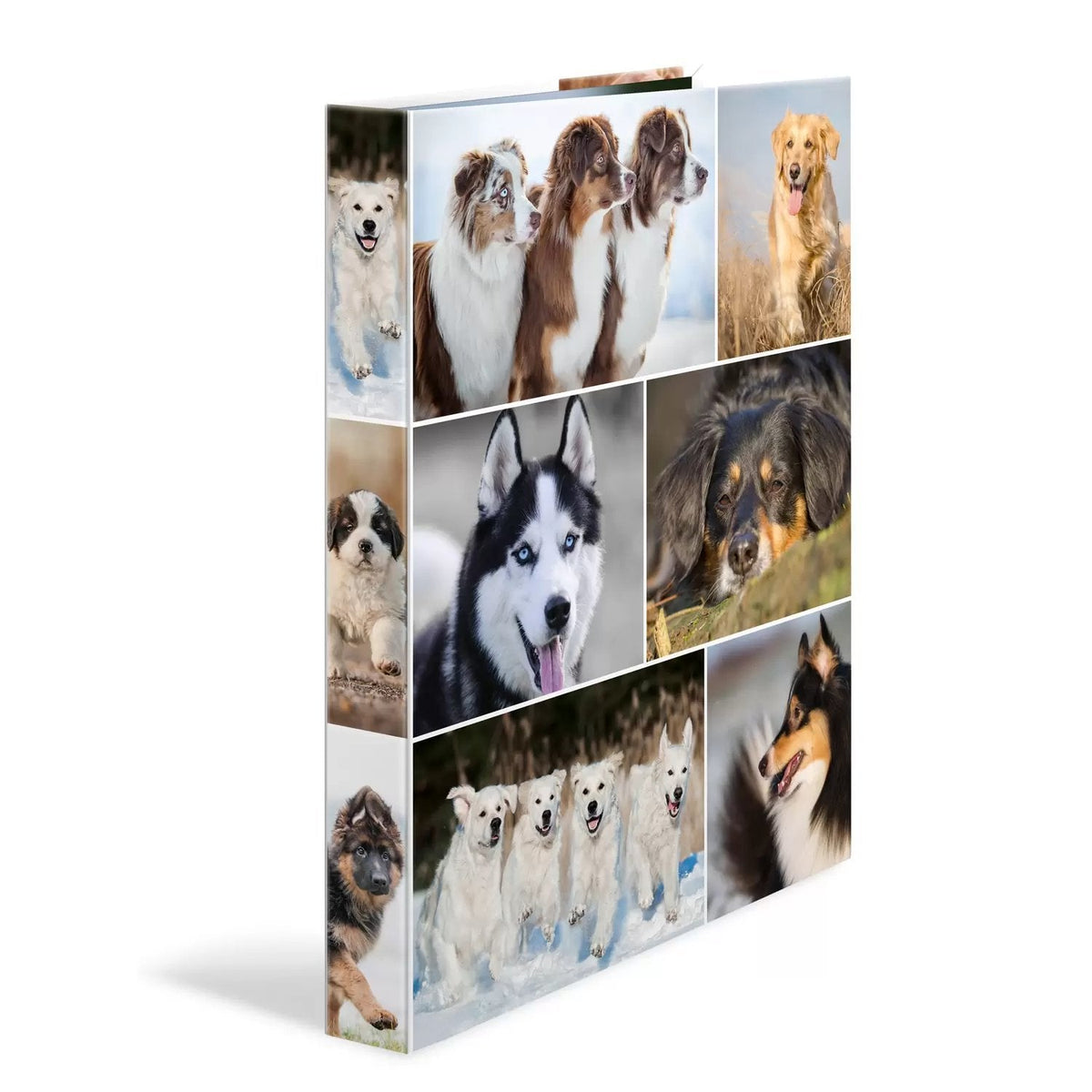 Carpeta De Anillas A4 Hunde 2d