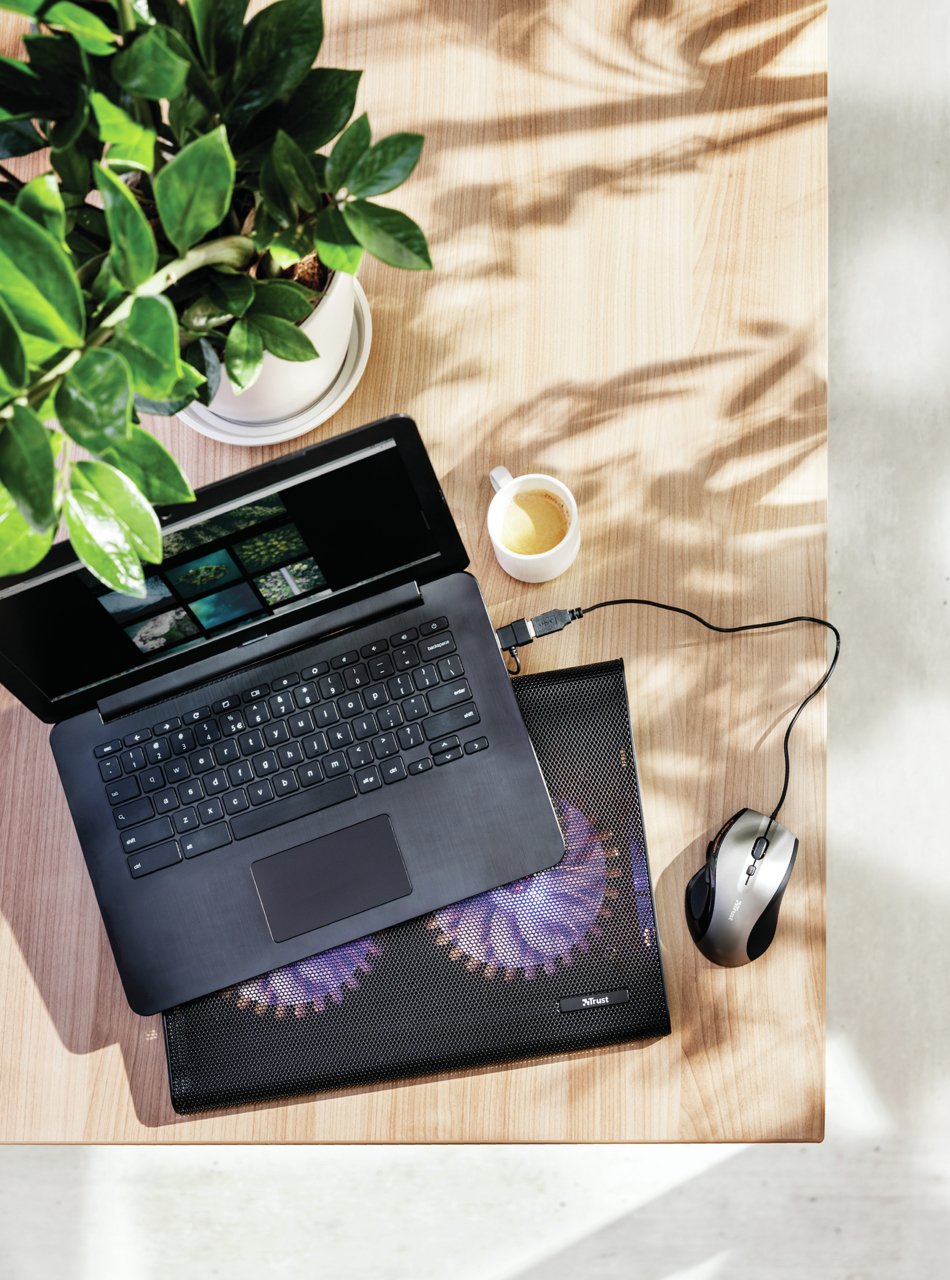 Trust Base Refrigeradora Para Portatiles Con 2 Ventiladores Y Leds Azul Hasta 17.3