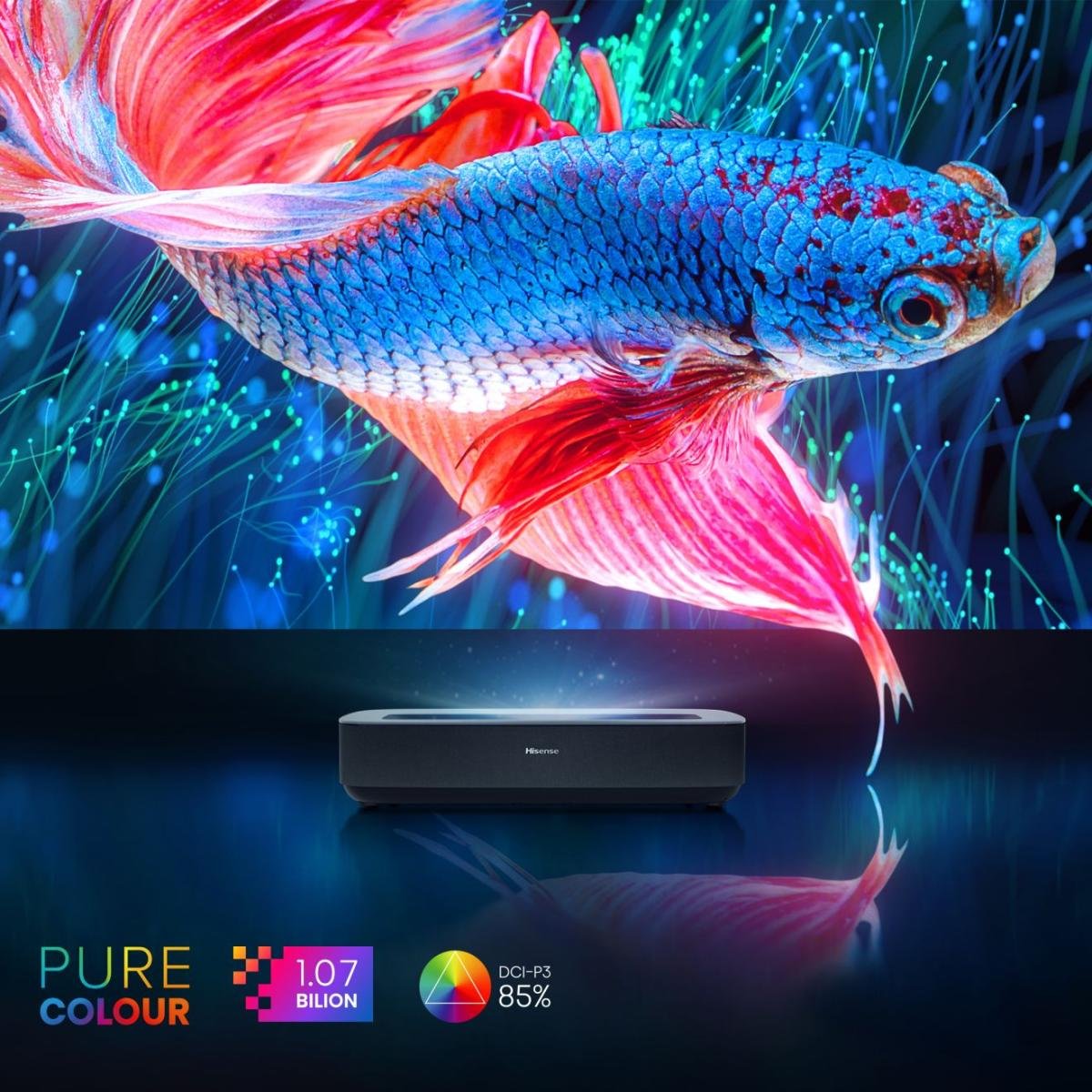 EAN 6942147495117 - Hisense PL1SE Smart TV Wifi Negro imagen 9